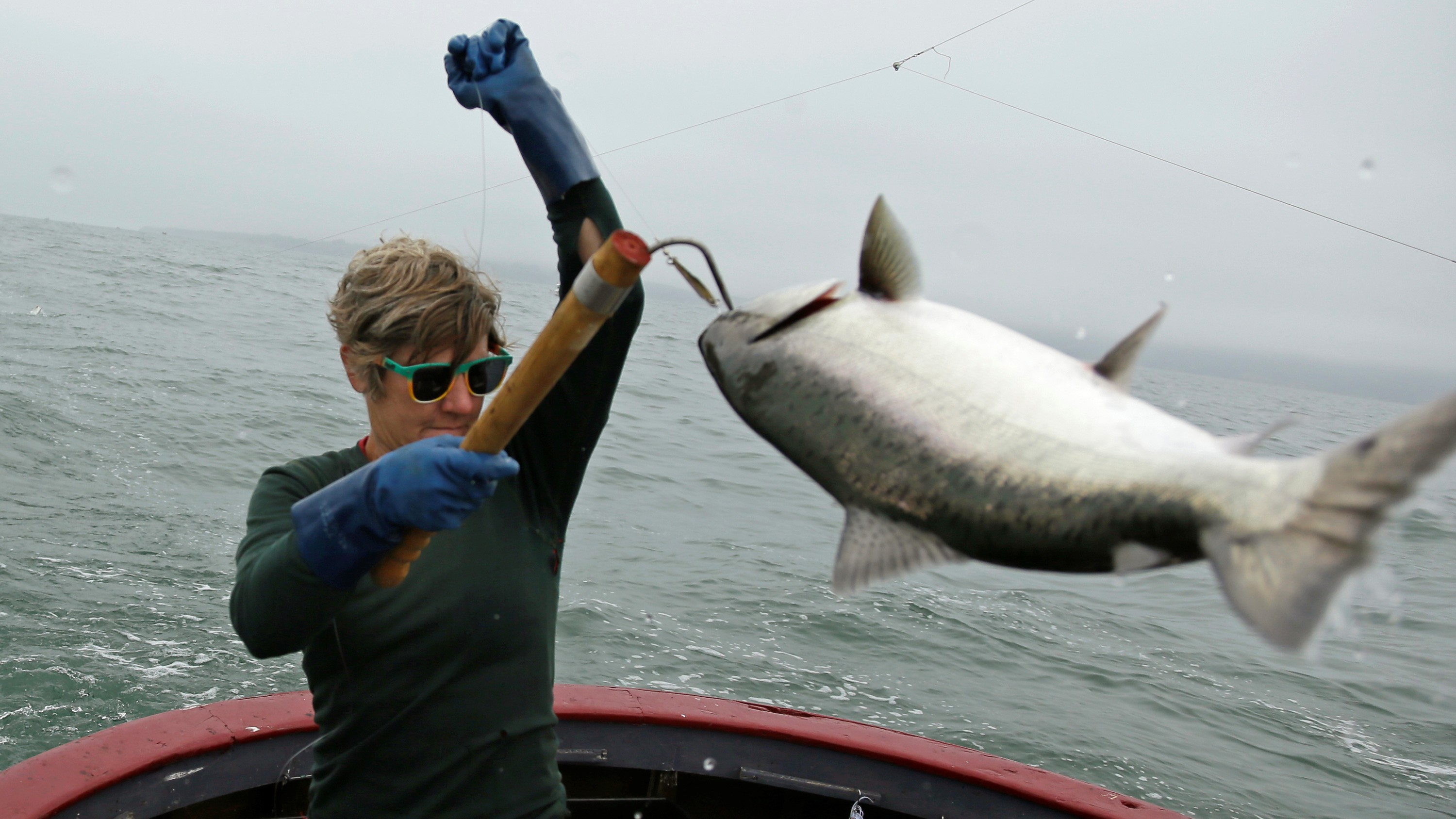 Salmon fishing is banned off the California coast